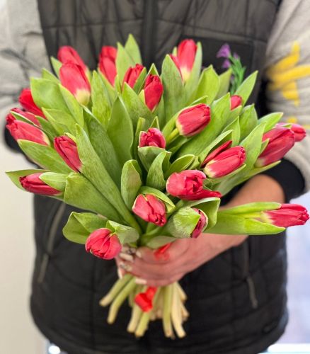 Купить букет из красных тюльпанов "Сабрина" с доставкой по Кизилюрту